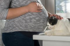 孕妇甲状腺功能异常的症状？对孕期有影响么？