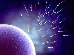 男性梗阻性无精症可以做试管婴儿吗 试管婴儿对男性的影响大不大