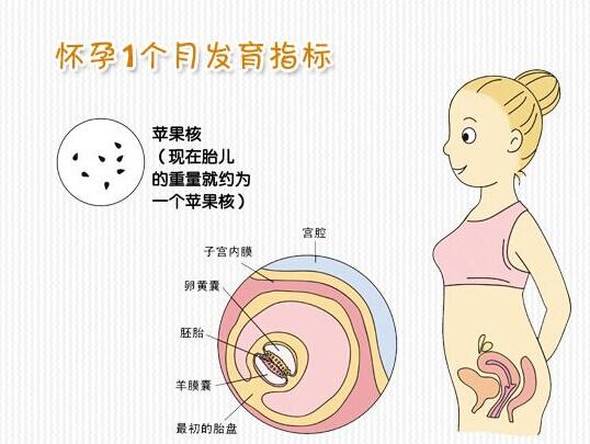 胎儿成长 产后宝宝教育要注意