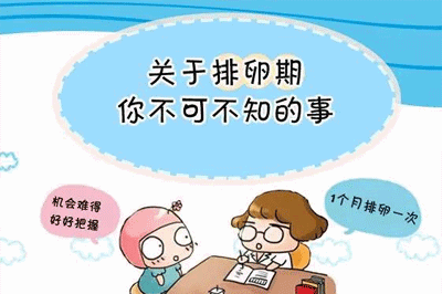 怀孕以后还排卵吗
