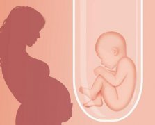 试管婴儿成功的6大事项需了解