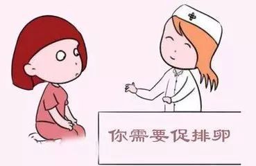 5分钟帮你分析，促排卵是打针好还是吃药好