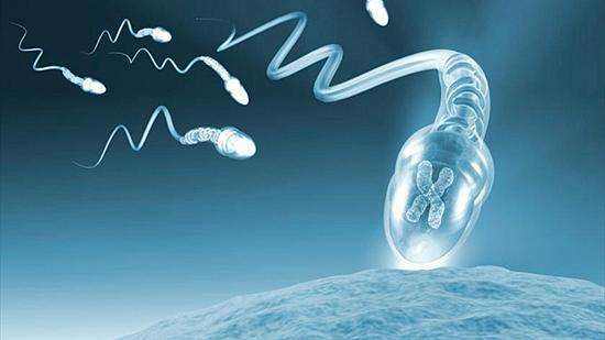 男性精子质量不好还能做试管婴儿吗 男性精子质量差可以做试管婴儿吗