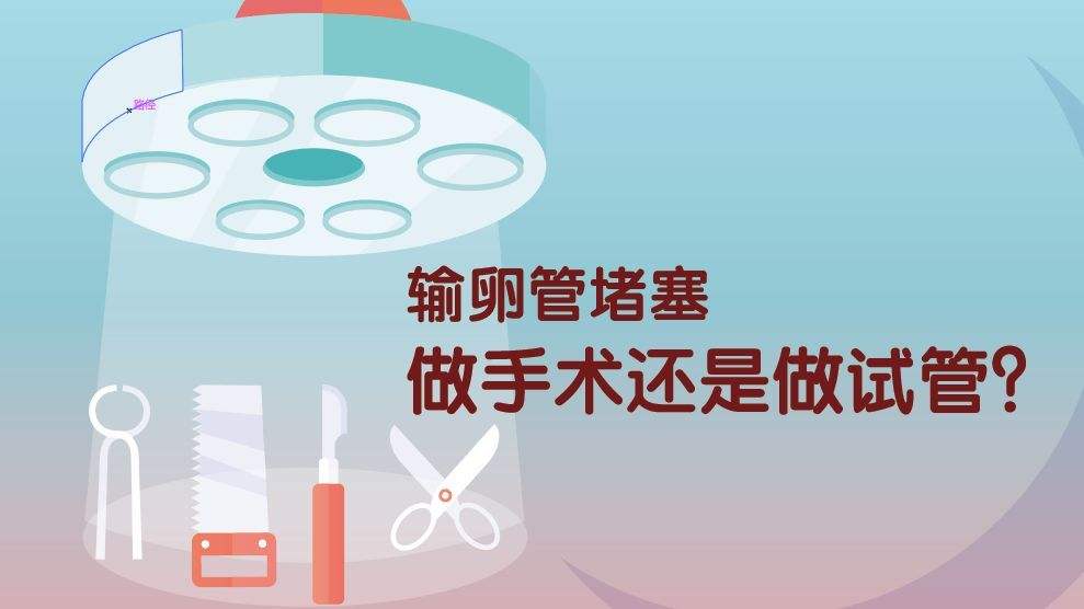 输卵管堵塞的女性做试管成功率大吗 输卵管堵塞试管成功率高吗