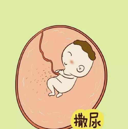 让胎宝宝更聪明的12个生活小习惯