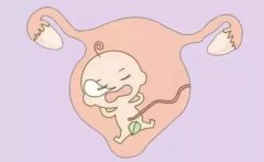 孕酮是如何维持女性妊娠的?