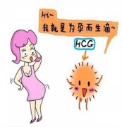 孕早期hcg下降保胎能成功么？用什么方法可以保胎成功？
