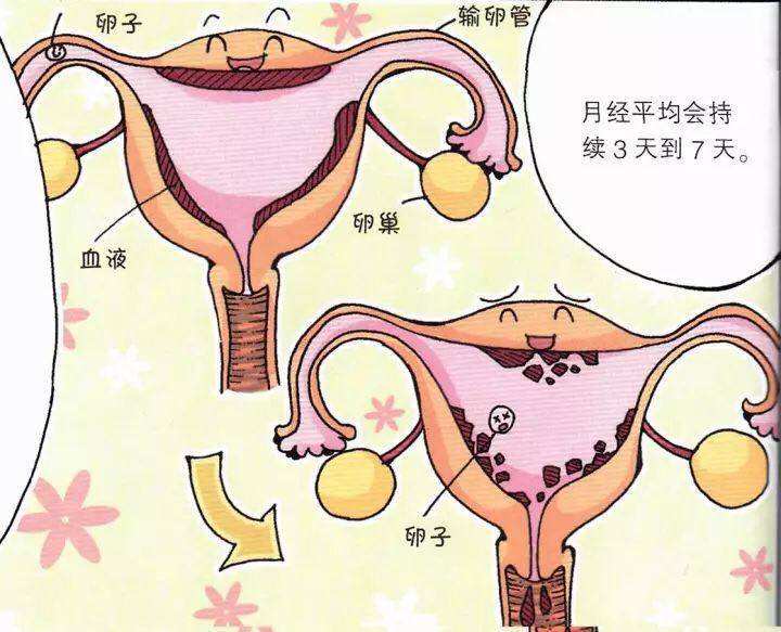 子宫内膜增厚不来月经怎么办？子宫内膜增厚不来月经如何处理？