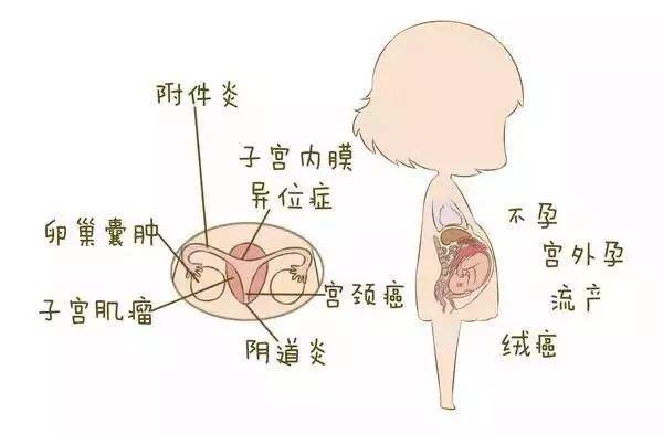 产后子宫内膜增厚如何处理？产后子宫内膜厚度多少正常？
