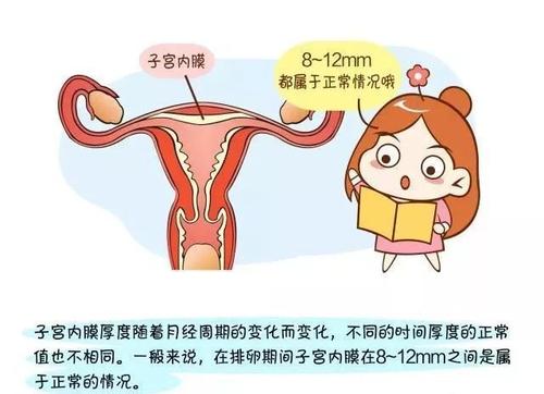 怎样才能子宫内膜增厚？子宫内膜增厚有哪些方法？