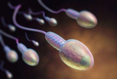 精子活力低怎么办