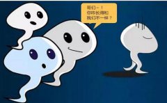 精子质量不好的原因