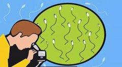 哪些情况下精子质量最好