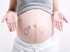 如何提高生男孩的几率?