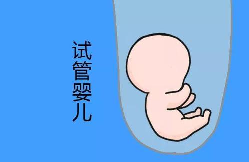 海外试管婴儿的总费用要多少？都有哪些流程？