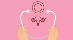 女性子宫内膜厚度与试管婴儿受孕的关系?