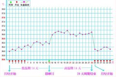女性几种常见的基础体温曲线图
