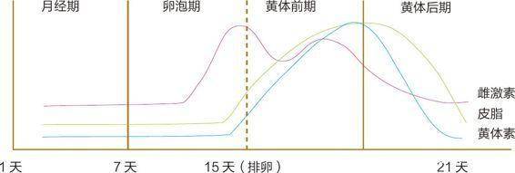 黄体素是什么  黄体素高是什么原因