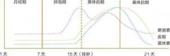 黄体素是什么 黄体素高是什么原因