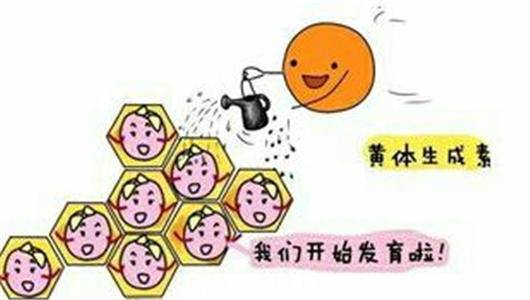 黄体素是什么  黄体素高是什么原因