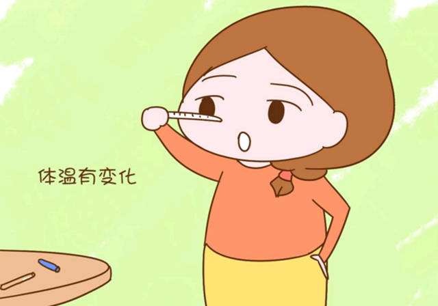 白带拉丝后多久排卵