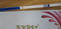 已经怀孕排卵试纸图片和已受孕后排卵试纸图片