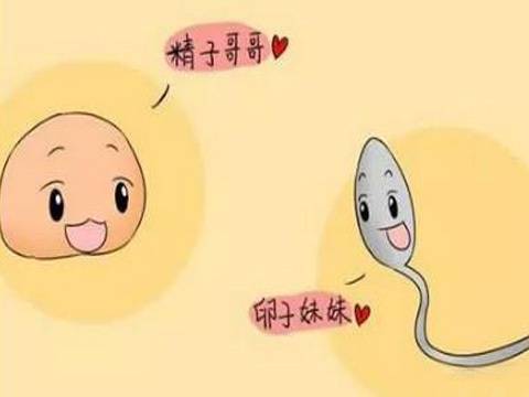 辅酶q10对卵巢的作用如何，能长期服用吗