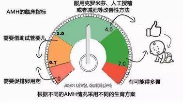 想怀孕amh值低怎么办以及如何调理?