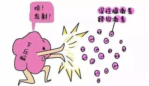 促卵泡激素多高为早衰   能怀孕吗
