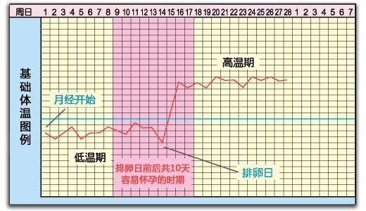 什么是基础体温?想要怀孕基础体温怎么测?
