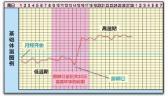 什么是基础体温 想要怀孕基础体温怎么测
