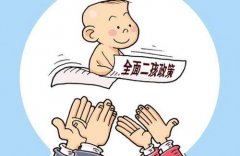 北京双独生二胎政策2020