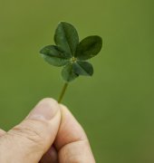 春天真的是做试管婴儿最好的季节吗?