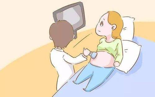 胎儿心脏彩超和四维有什么区别?