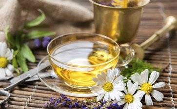 怀孕能喝菊花茶吗