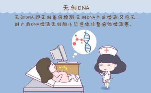 无创dna12周和16周区别