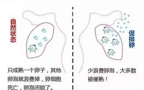 拮抗剂方案优缺点是什么