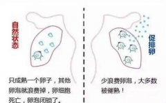 拮抗剂方案优缺点是什么