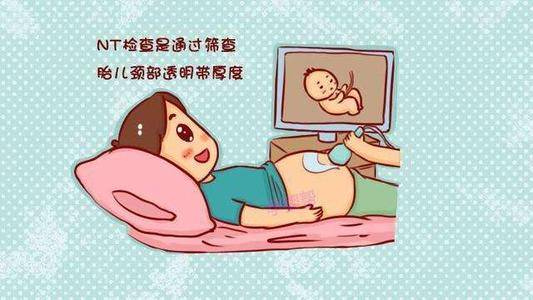 为什么试管nt值没意义