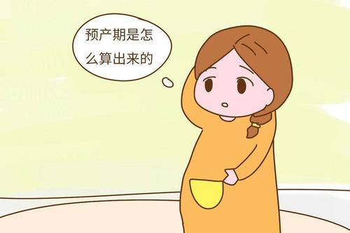 移植鲜胚如何算预产期?