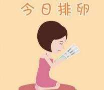 监测排卵的最佳时间是什么时候？