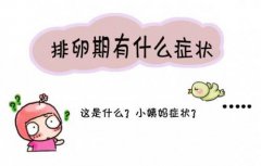 女性排卵期有什么症状？