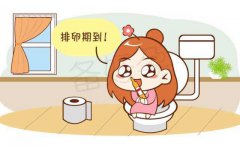 女性的排卵期是什么时候？