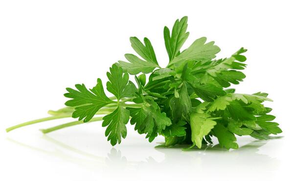 备孕时千万不要吃这6种食物