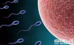 冻卵是什么意思 冷冻卵子需要多少钱（费用）