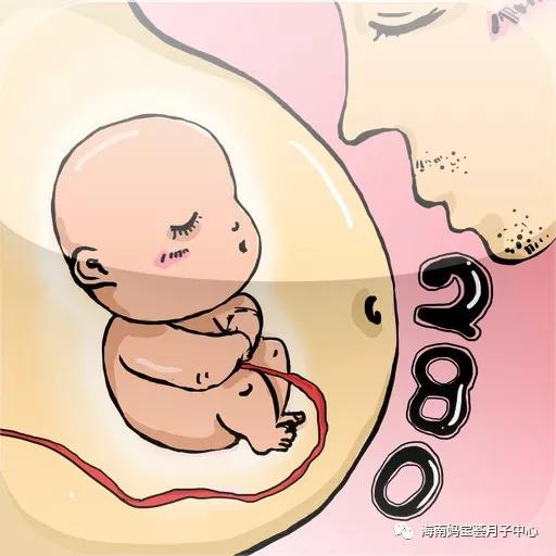 蔡少芬胎教曝光：自律的妈妈，孩子都不会差！