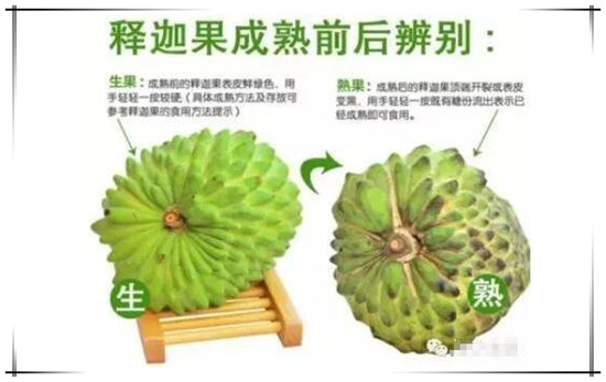 释迦果怎么判断熟没熟 释迦果熟了是什么颜色图片对比 