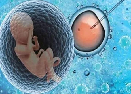 这四类人做试管最容易成功，有你吗？