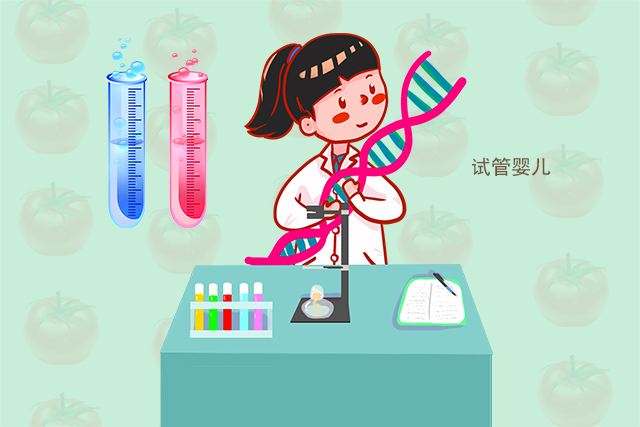 试管婴儿和自然怀孕的孩子区别只是怀孕的方式不同