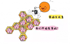 如何监测卵泡 监测排卵的目的